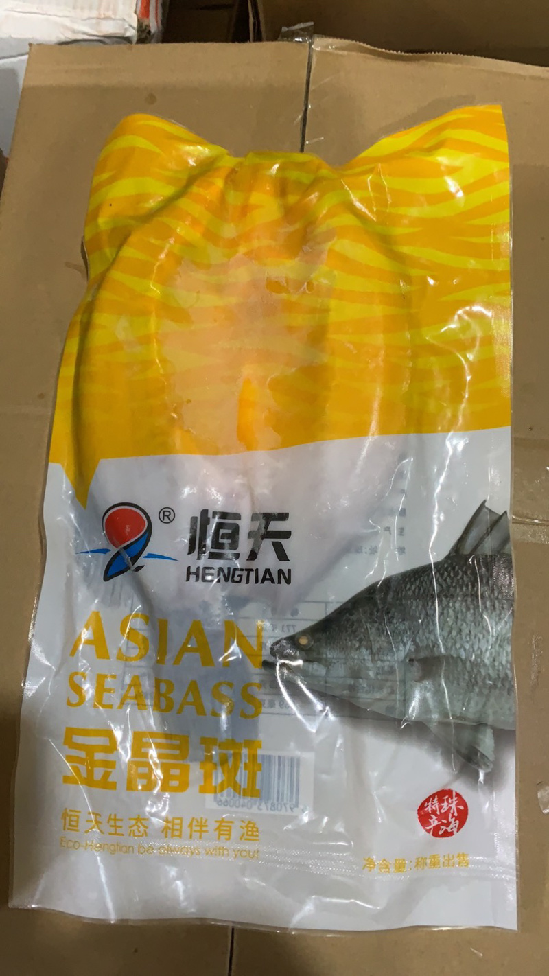 开背金目鲈游龙斑尖吻鲈鱼盲曹厂家直批有量有价