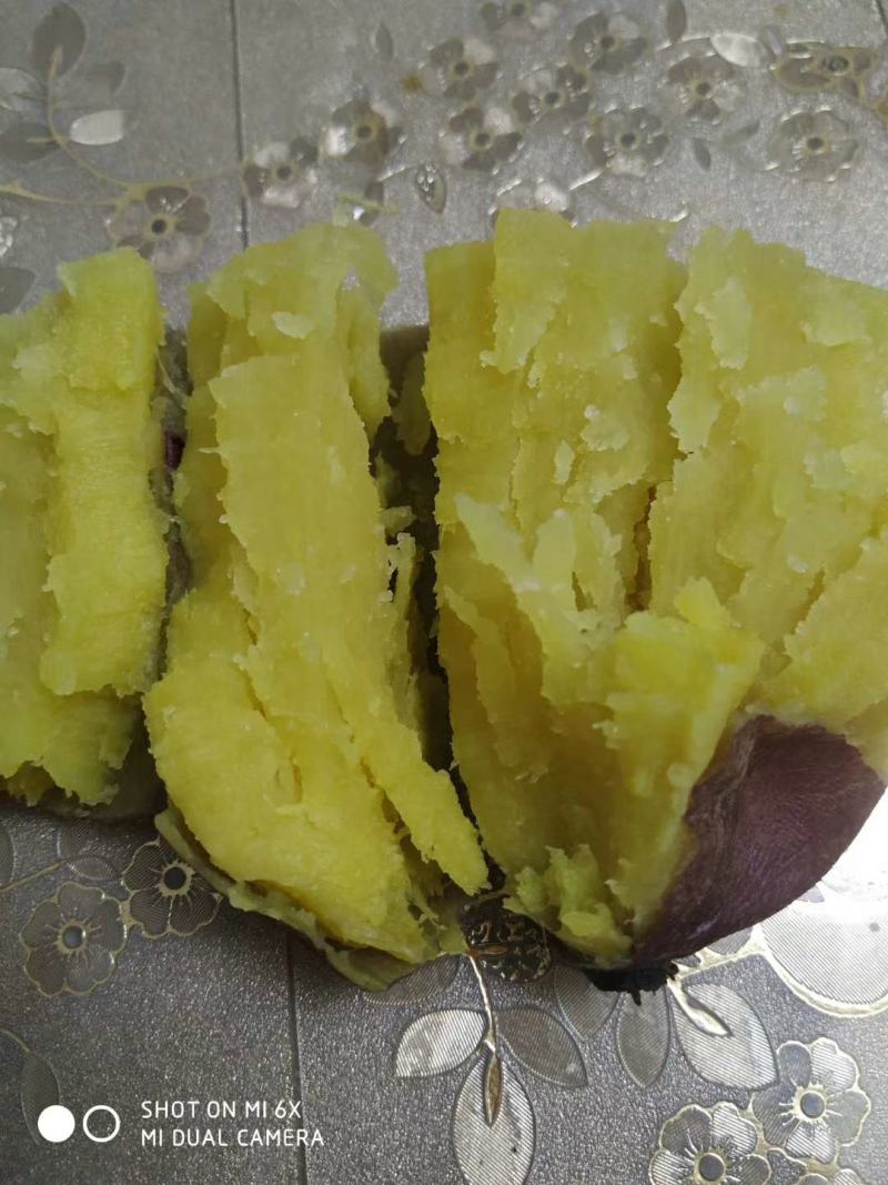 【红薯】济薯26红薯瓜形好量大从优代发全国欢迎选购