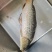 鲤鱼壳子，开肚鲤鱼，三去鲤鱼，冻板鲜货都有，活鱼宰杀