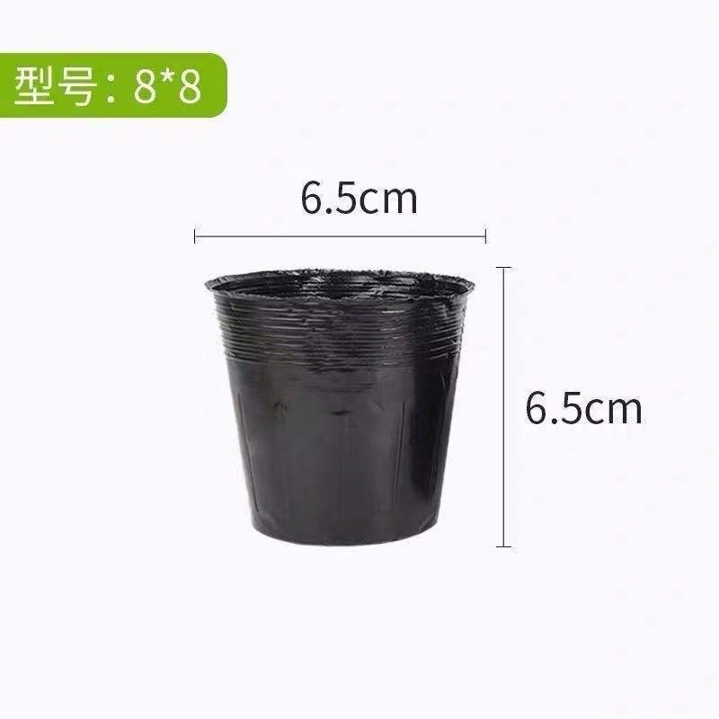 营养钵营养杯多种规格可以视频看货选货！