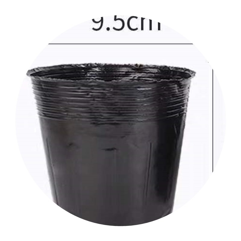 营养钵营养杯多种规格可以视频看货选货！