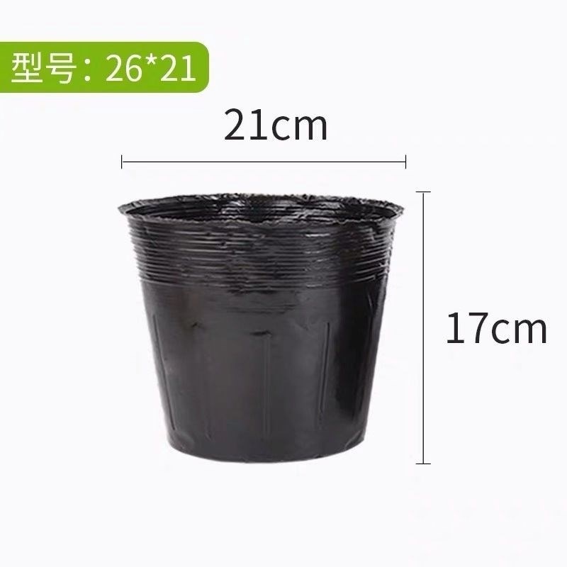 营养钵营养杯多种规格可以视频看货选货！