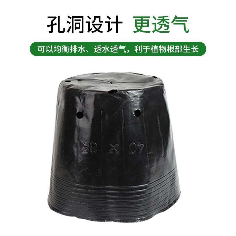 营养钵营养杯多种规格可以视频看货选货！