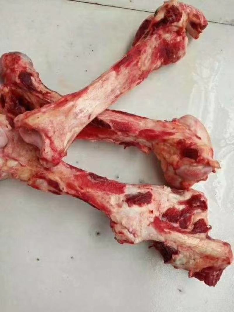 鲜驴肉马肉冻产品副产品量大优惠你需要的我们应有尽有。