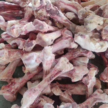 鲜驴肉马肉冻产品副产品量大优惠你需要的我们应有尽有。