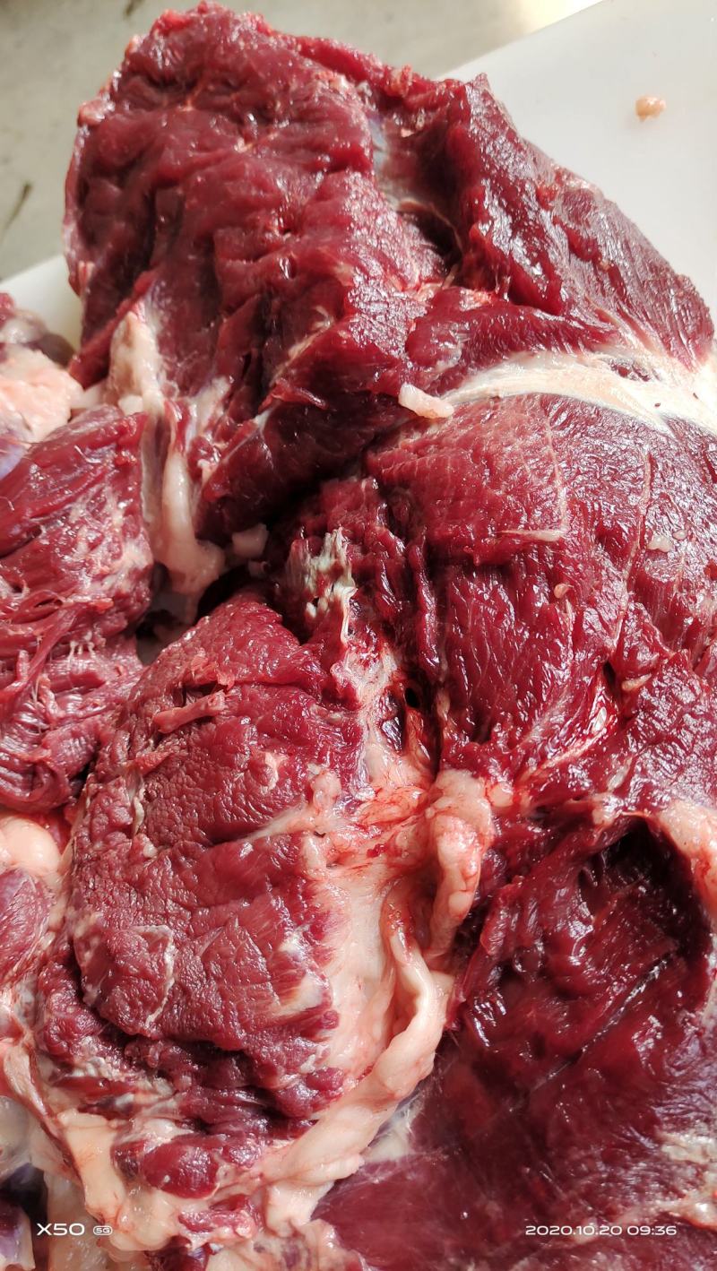 鲜驴肉马肉冻产品副产品量大优惠你需要的我们应有尽有。
