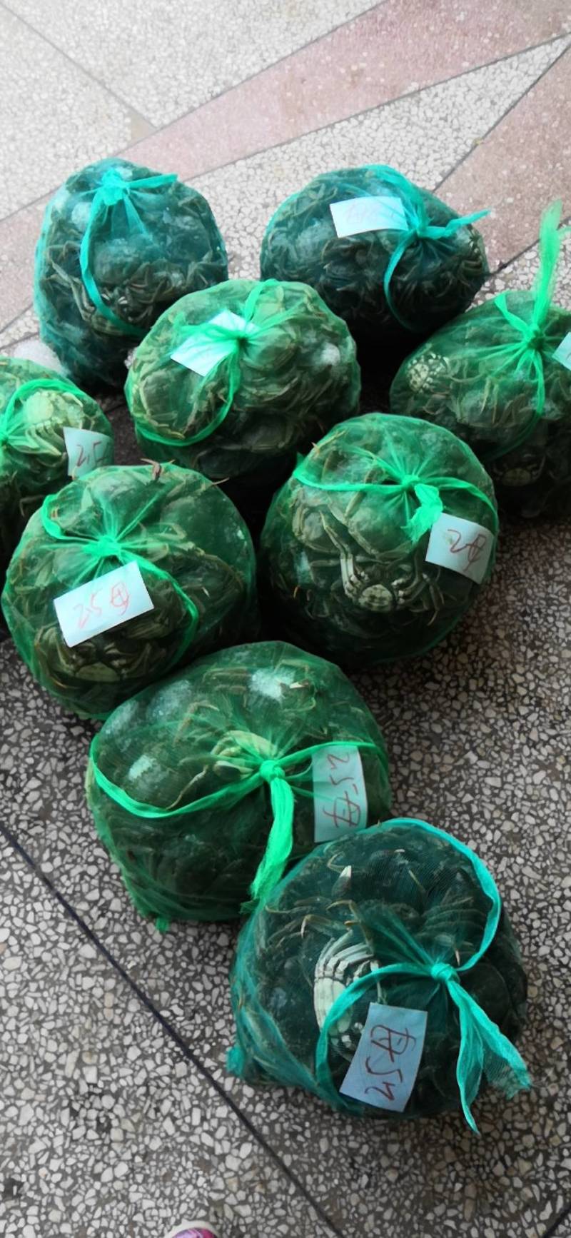 满黄满膏洪湖清水大闸蟹提前预订