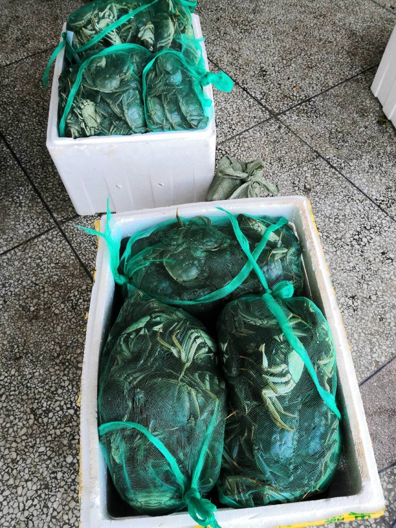 满黄满膏洪湖清水大闸蟹提前预订