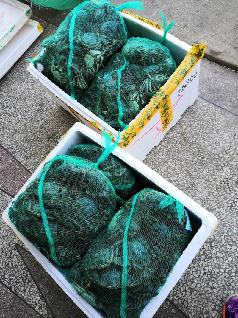 满黄满膏洪湖清水大闸蟹提前预订