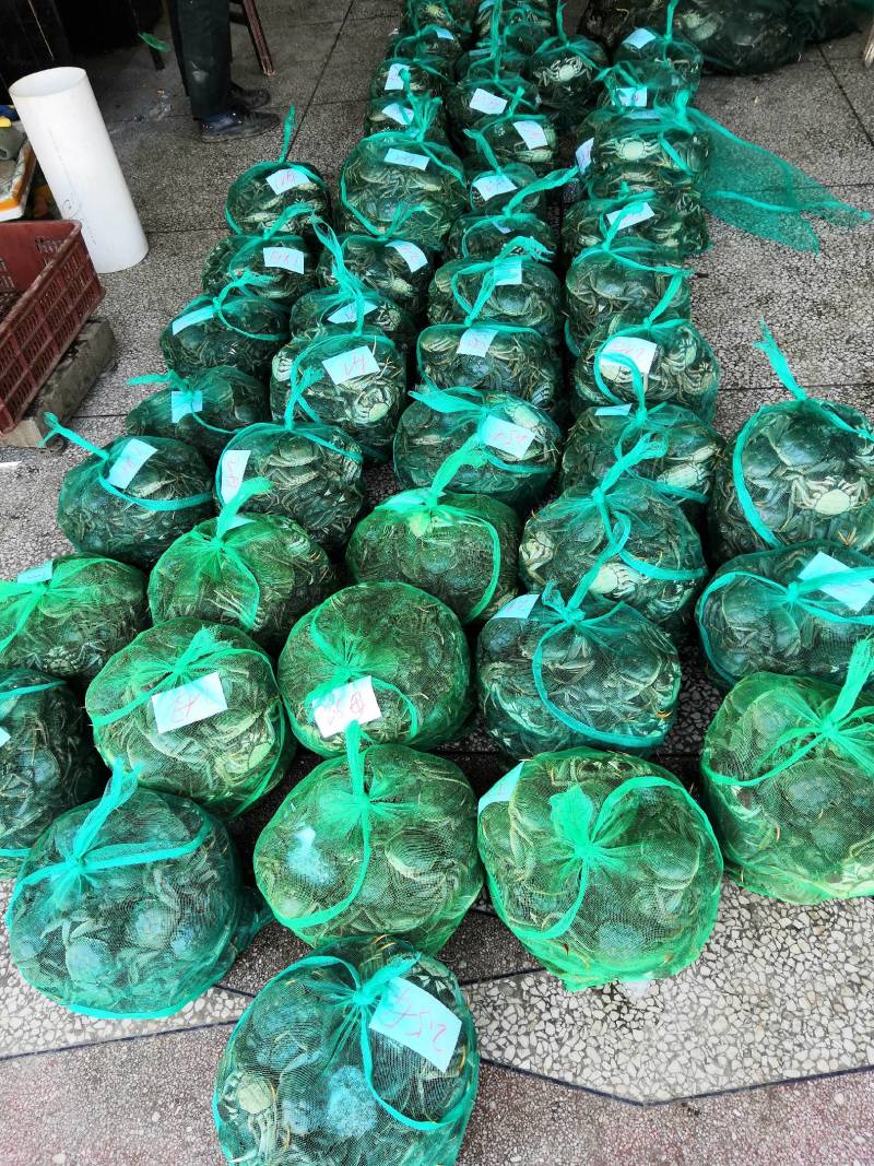 满黄满膏洪湖清水大闸蟹提前预订