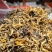 云南一芽二叶烤红糯香红茶汤透亮！价格实惠！批发