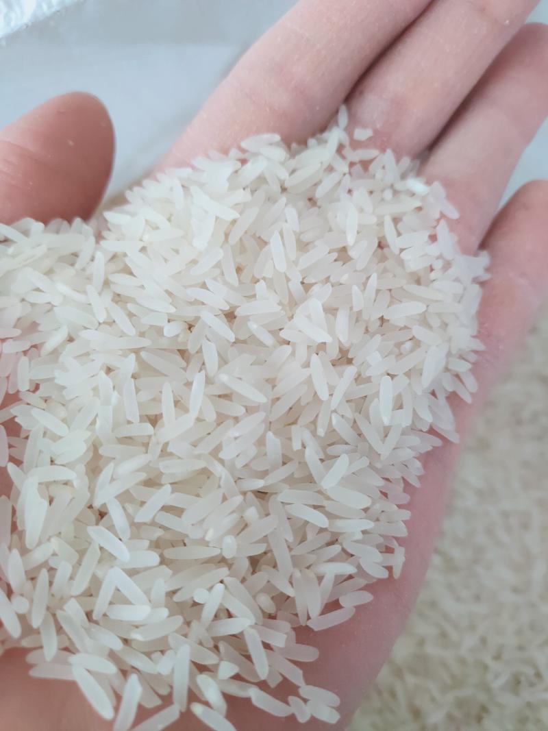 象牙米桂林市厂家直销砂锅饭煲仔饭专用米。
