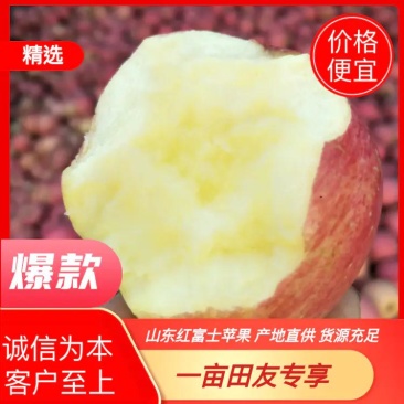 山东红富士苹果产地直销膜袋，纸袋，纸加膜
