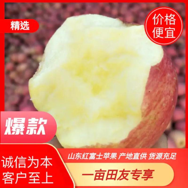 山东红富士苹果产地直销膜袋，纸袋，纸加膜