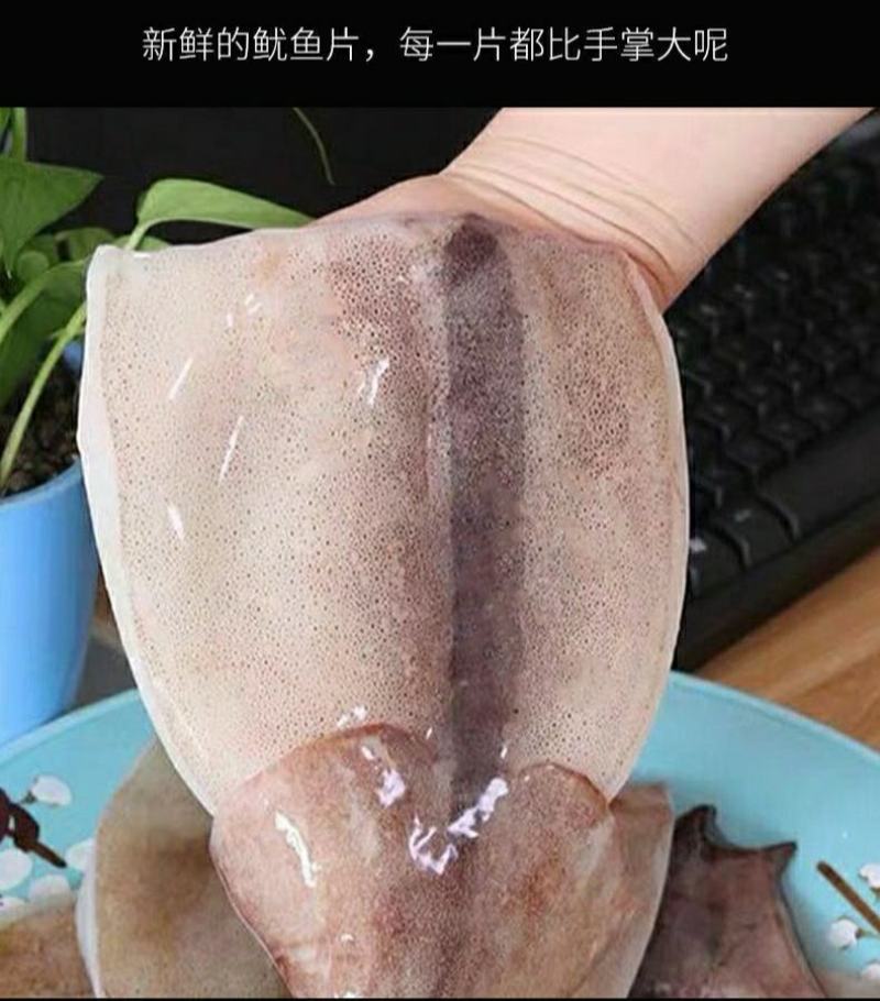 新鲜鱿鱼片去头去内脏鲜香美味火锅烧烤食材