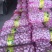 21年新货【紫皮大蒜】鲜蒜精品蒜瓣独头蒜物美价廉促销中