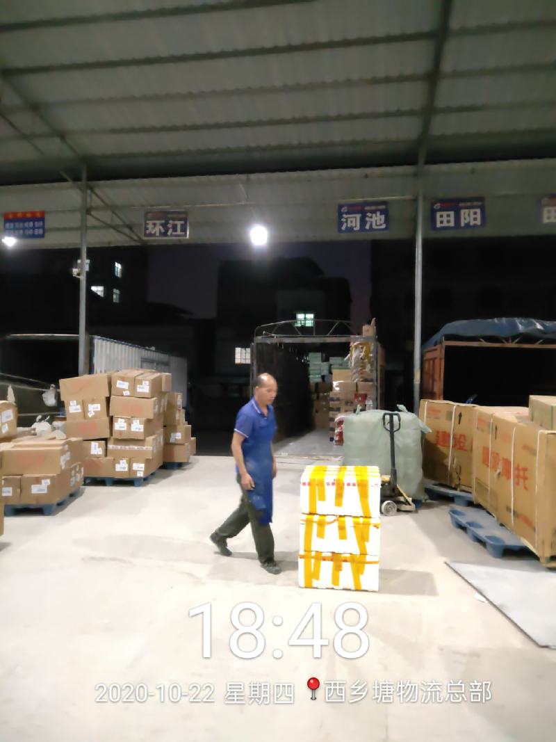 今天继续发货香蕉苗50000株龙州，感谢二位老板关照。