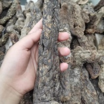 肉苁蓉.......
