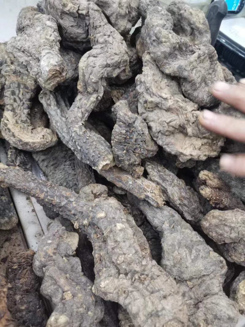 肉苁蓉.......