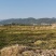 清甜可口【精品马蹄】千亩种植基地直供一手货源量大从优