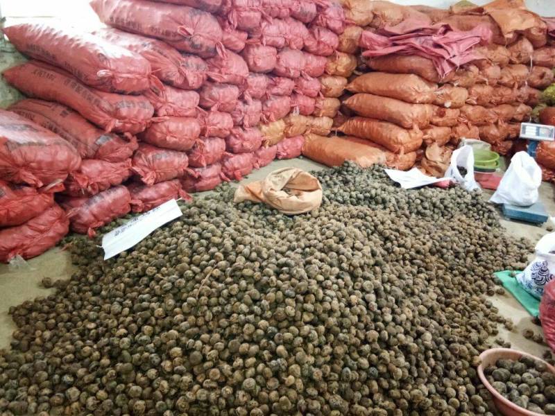 清甜可口【精品马蹄】千亩种植基地直供一手货源量大从优