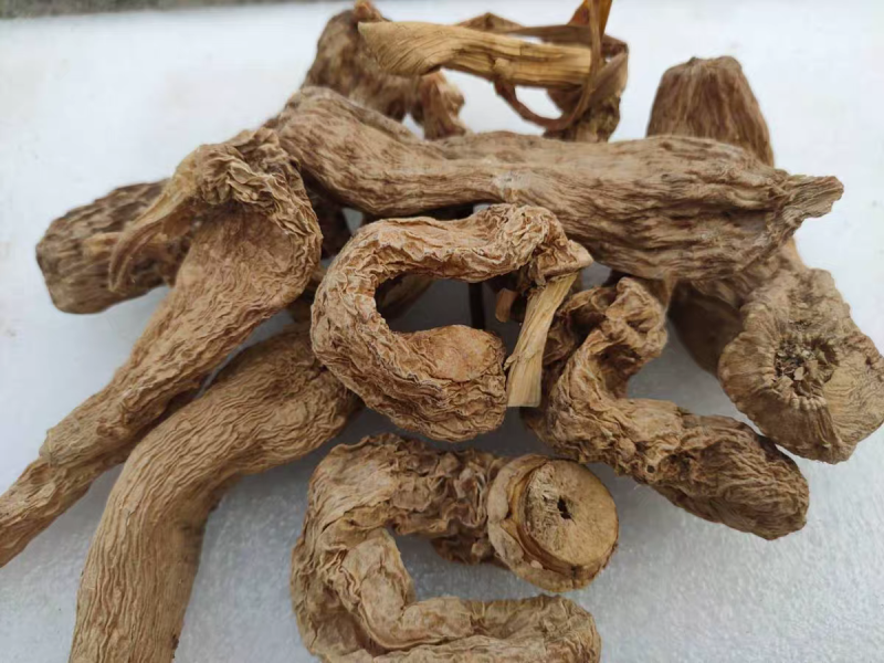 野生天麻......