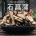 石菖蒲产地直销量大从优批发各种中药材
