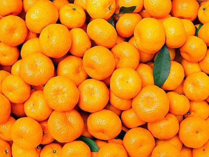🍊广西精品南丰蜜桔大量上市中诚信代办果靓价优