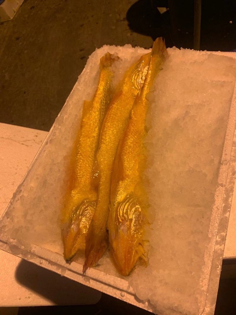 冰鲜深海养殖黄鱼大小规格全国发货