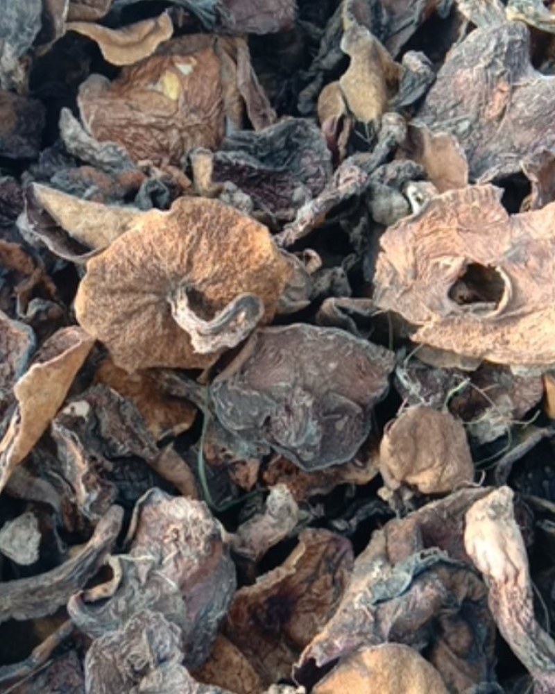 松蘑，松蘑干，粘蘑，松树蛾子，土信承德地区特产，一手货源