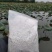 藕粉正宗藕粉纯藕粉湖北黄冈大别山区