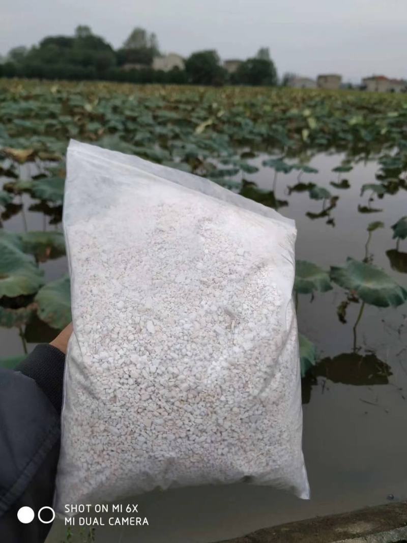 藕粉正宗藕粉纯藕粉湖北黄冈大别山区