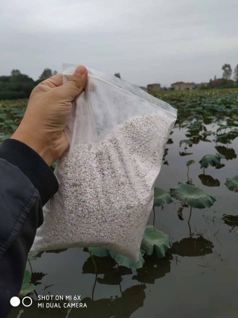 藕粉正宗藕粉纯藕粉湖北黄冈大别山区