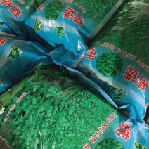 红新精品毛豆热卖中，大量供货