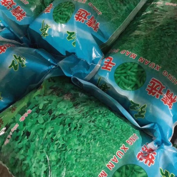 红新精品毛豆热卖中，大量供货