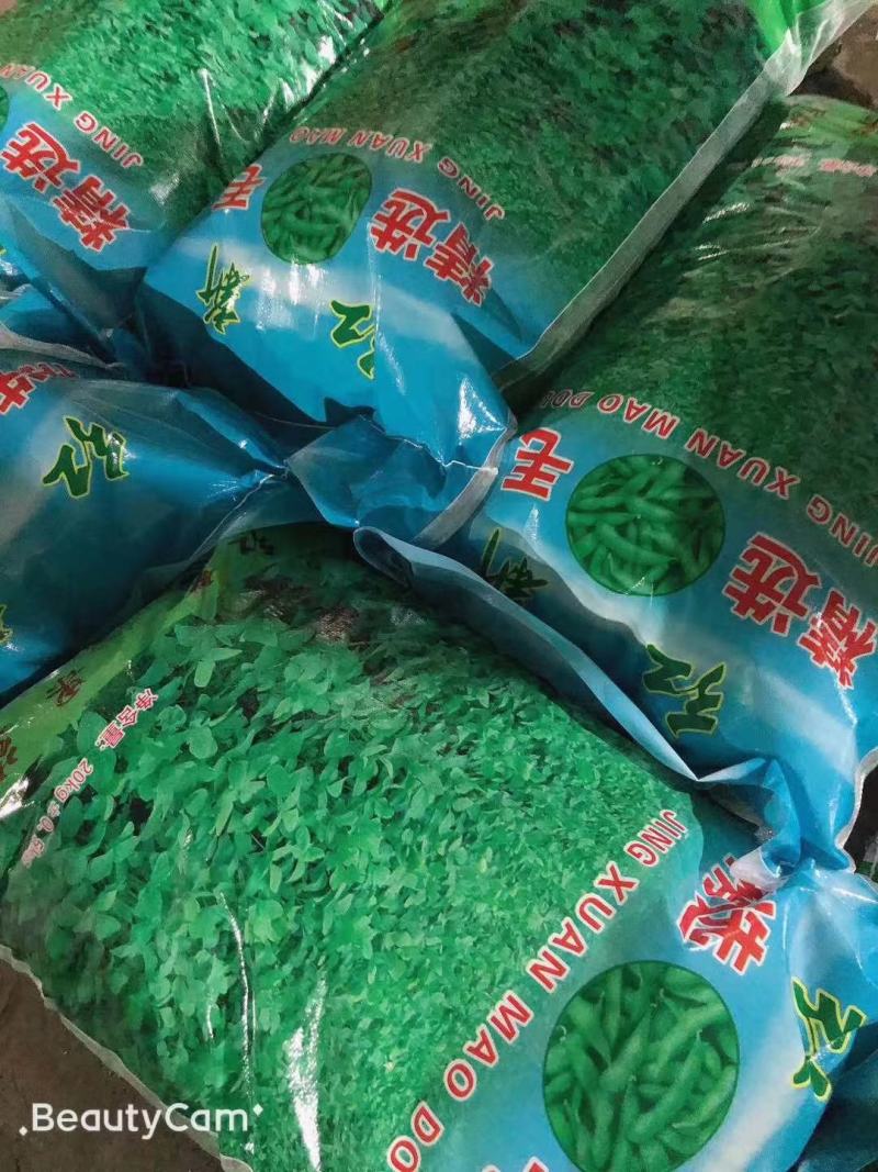 红新精品毛豆热卖中，大量供货