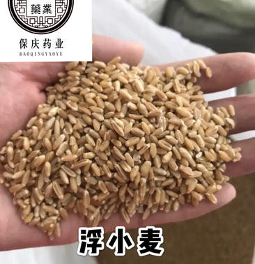 浮小麦 浮麦 保庆药业批发浮小麦实物拍摄!