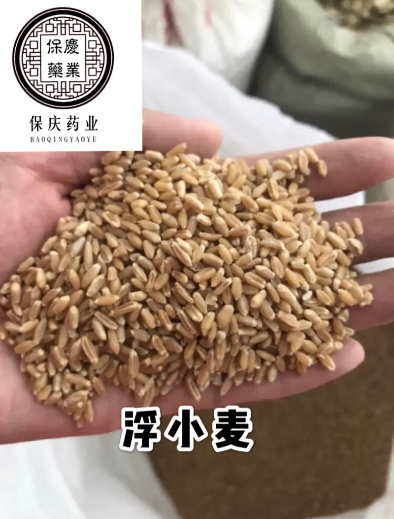 浮小麦浮麦保庆药业批发浮小麦实物拍摄！