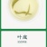 2023年春茶云南绿茶新茶高山毛尖浓香型茶叶特级银丝绿茶