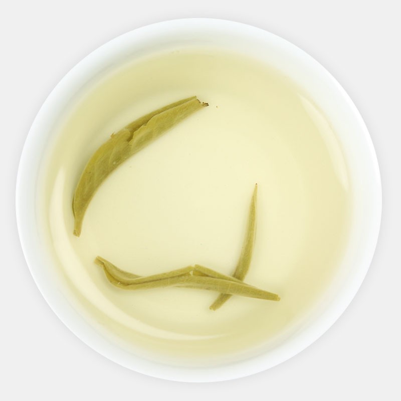 2023年春茶云南绿茶新茶高山毛尖浓香型茶叶特级银丝绿茶