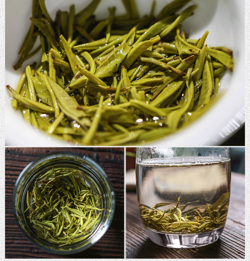 2023年春茶云南绿茶新茶高山毛尖浓香型茶叶特级银丝绿茶