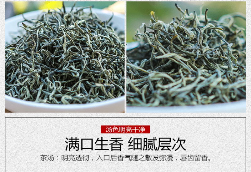 2023年春茶云南绿茶新茶高山毛尖浓香型茶叶特级银丝绿茶