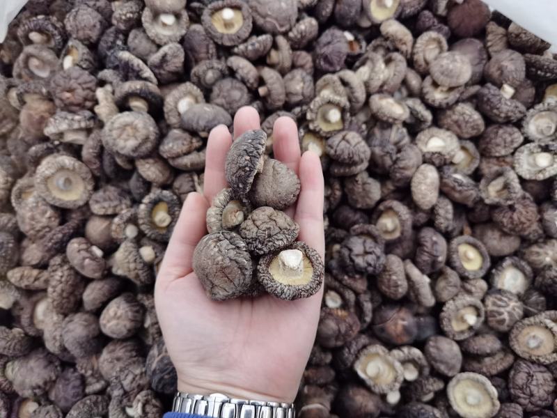 优质干香菇产地对接批发质量稳定货源充足常年不断货