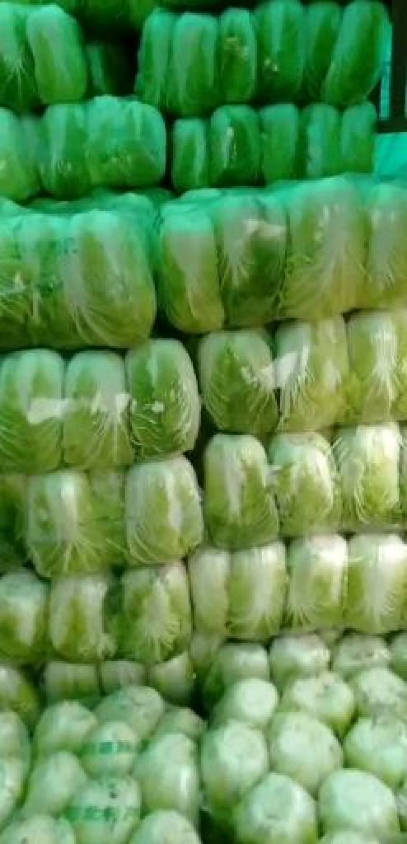 黄心白菜，湖北白菜，大白菜，基地直发，诚信经营