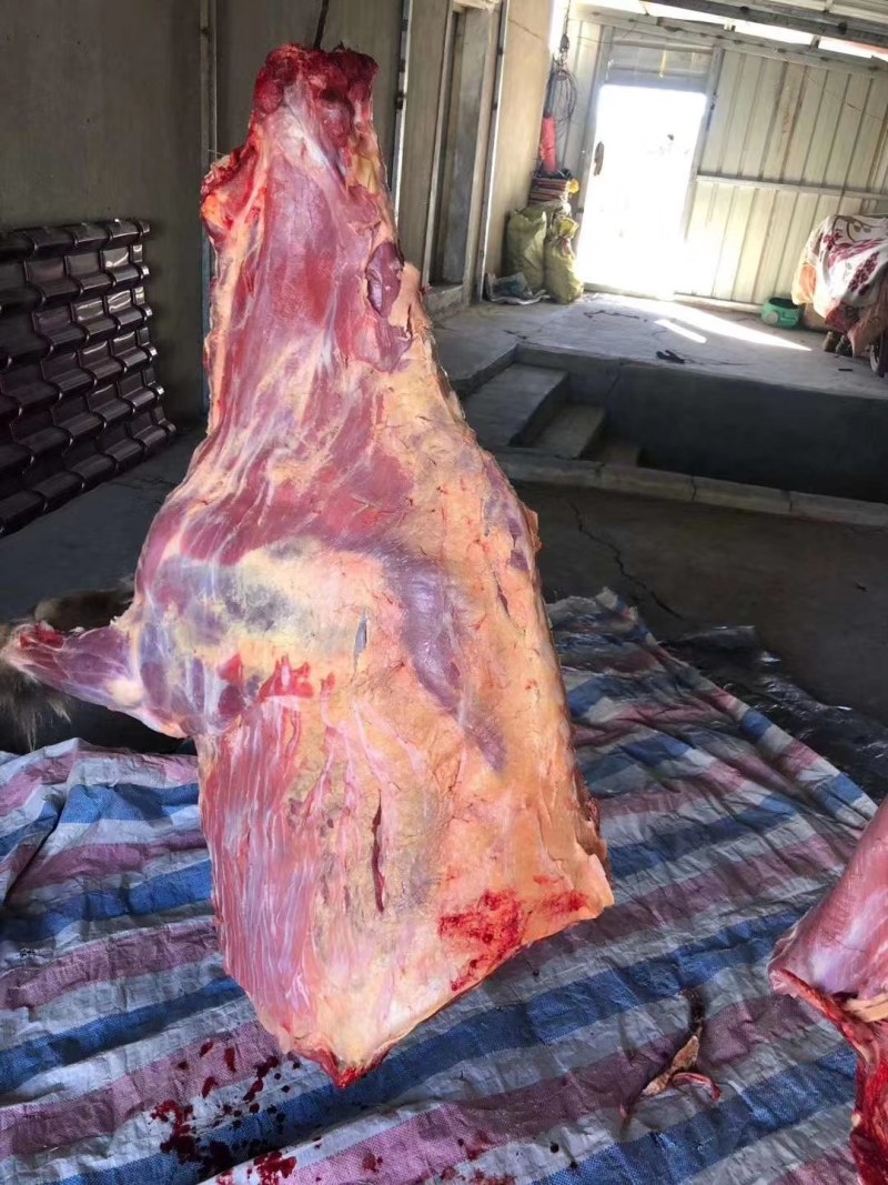 正宗阿坝州草原牦牛肉，假一赔十，都是现杀的鲜货
