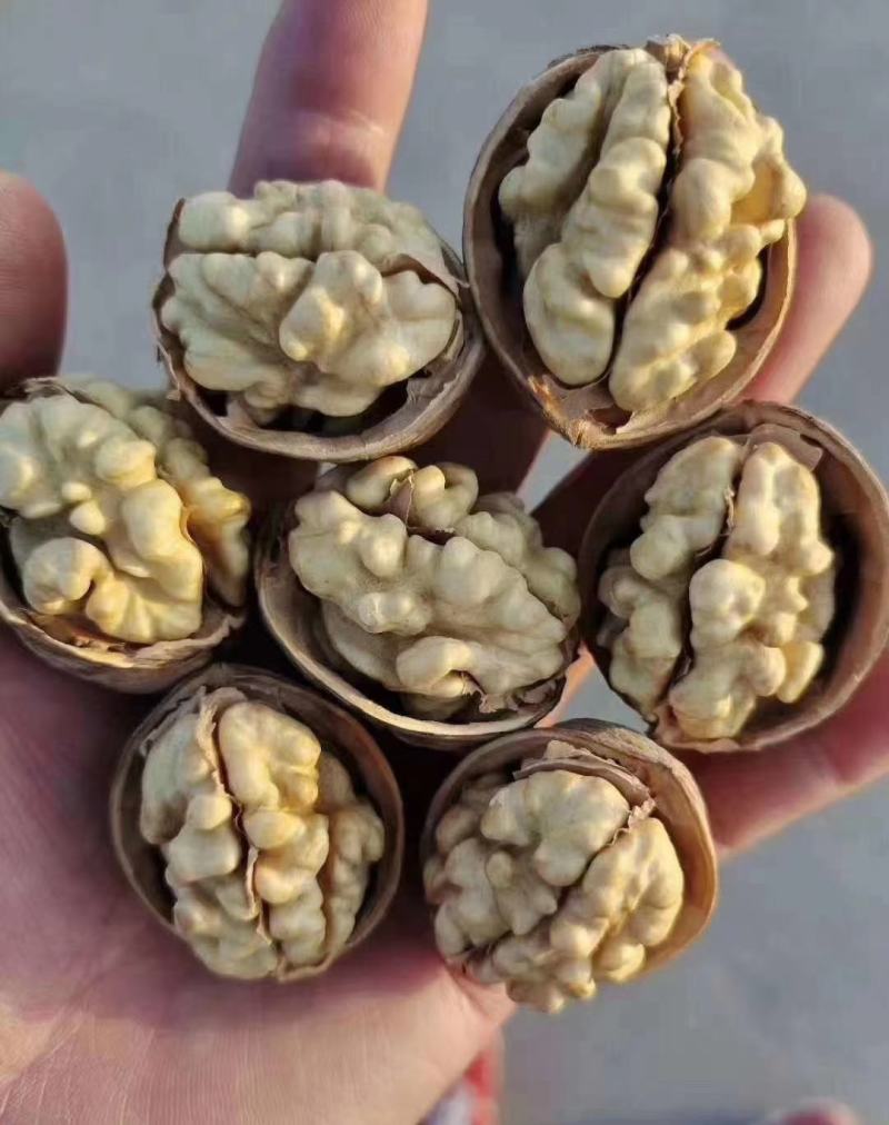 新疆纸皮核桃！皮薄肉厚！