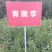 四川晚熟青脆李树苗脱骨李子树苗嫁接李子苗脆李苗李子树脆李
