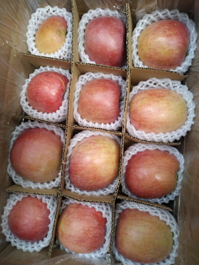 阿克苏冰糖心苹果口感脆甜保质保量长期合作