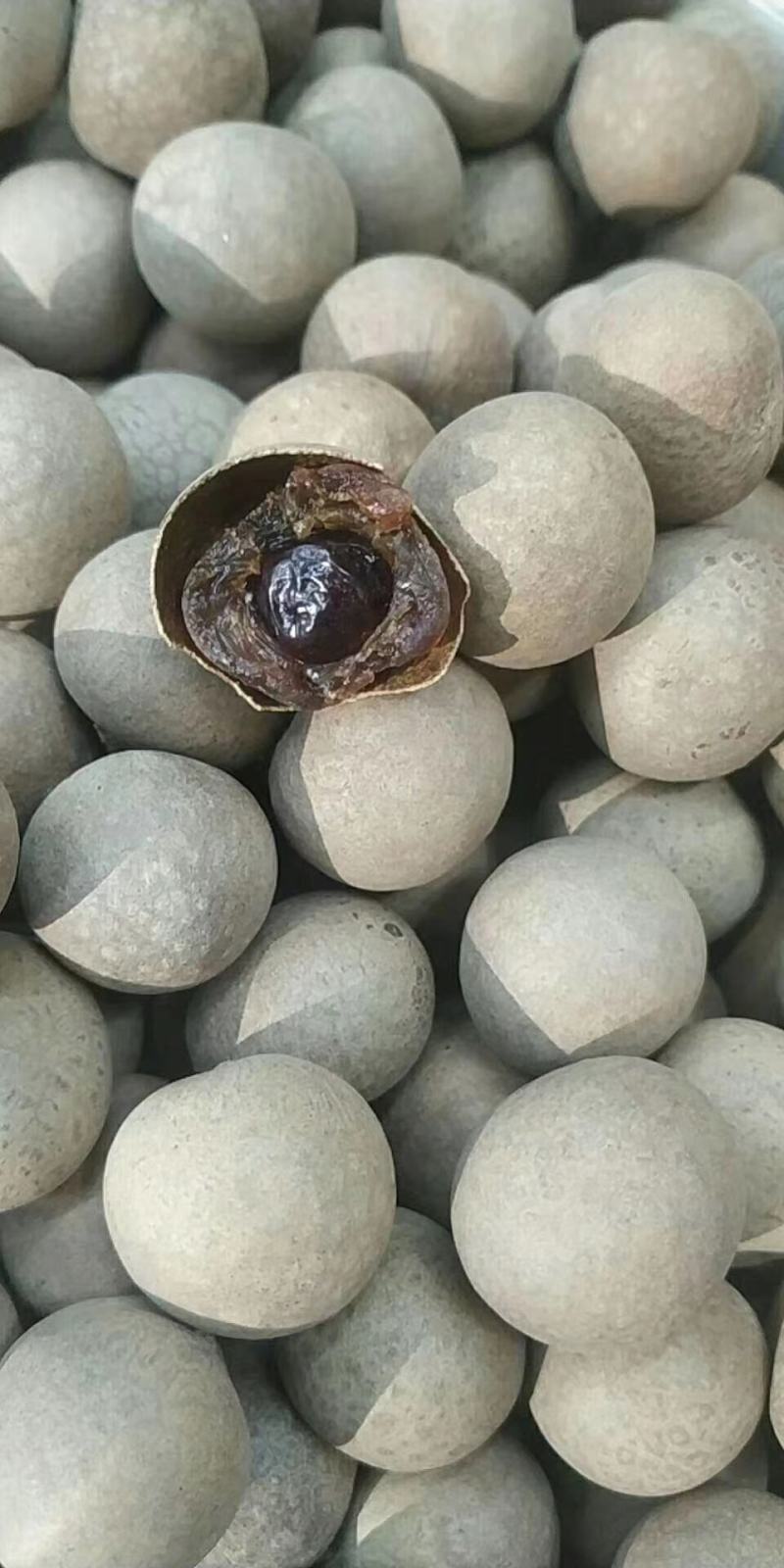 新货桂圆干！核小肉厚！口感纯正！