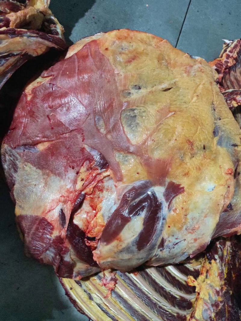 青海草膘牦牛肉牛排牛肉牛里脊